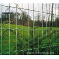 Garden Rot Proof Galvanized Euro Fence 75mm Euro Holland Fence For Farm Supplier